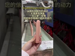 ピンク 28 歯 49g ボトル胚